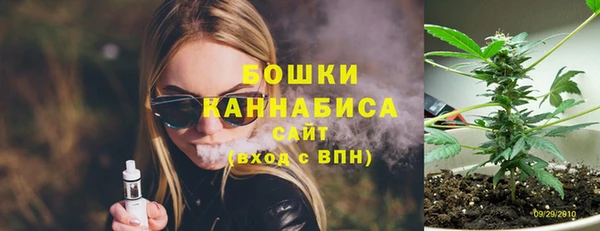 твердый Алзамай