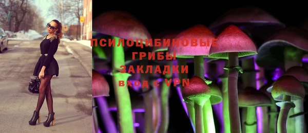 твердый Алзамай