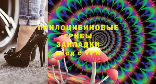 твердый Алексеевка